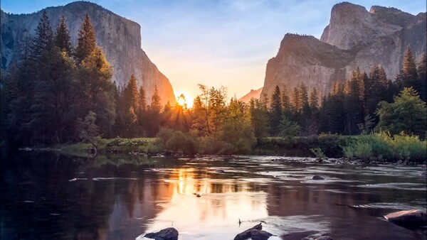 Sahani yenye mkate wa nafaka, parachichi na nyanya — mlo rahisi wa utulivu